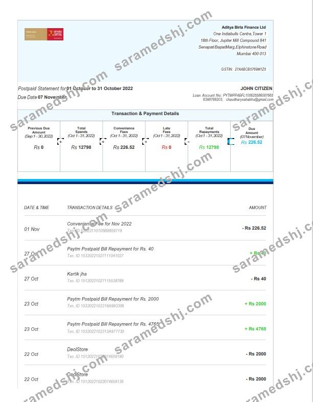 India Aditya Birla Finance Ltd bank statement template, Word and PDF format, 3 pages